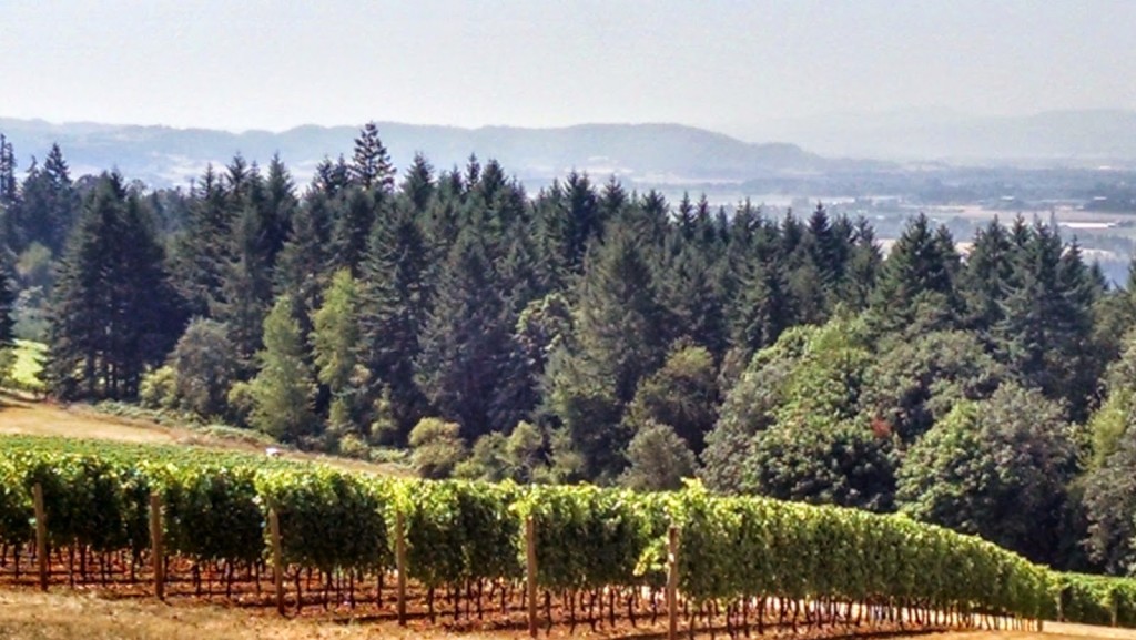 Oregon Wine Country | Meemaw Eats