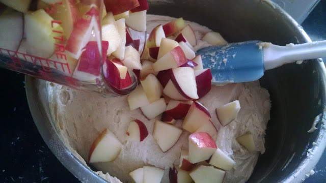 Roman Apple Cake | Meemaw Eats