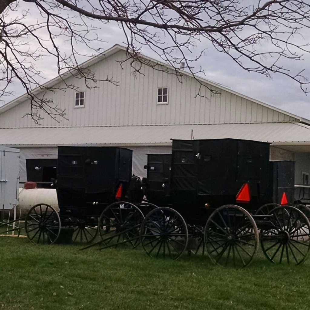 Amish Buggies | Meemaw Eats