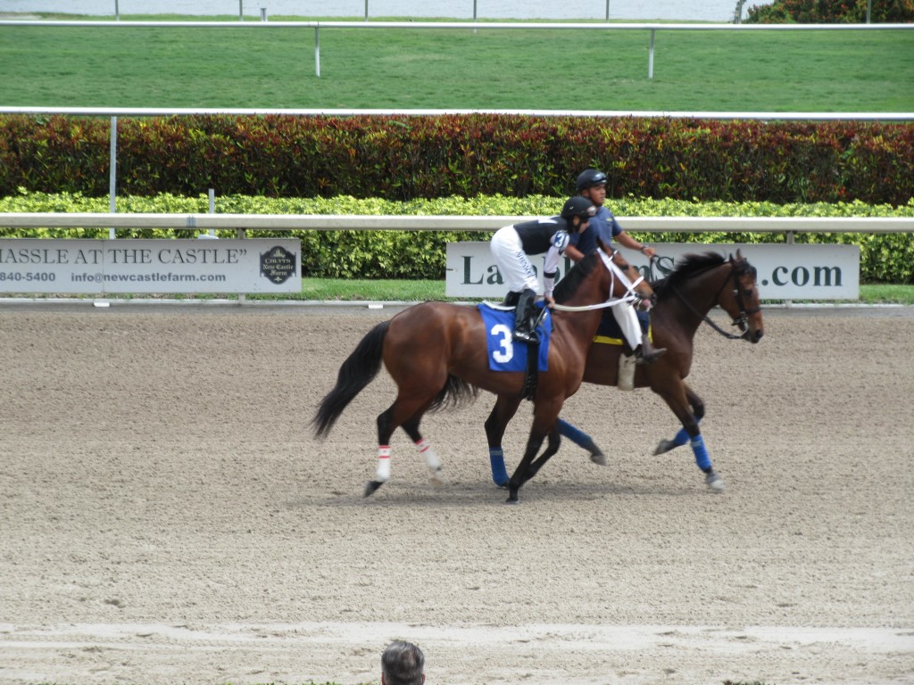 Gulfstream Park | Meemaw Eats