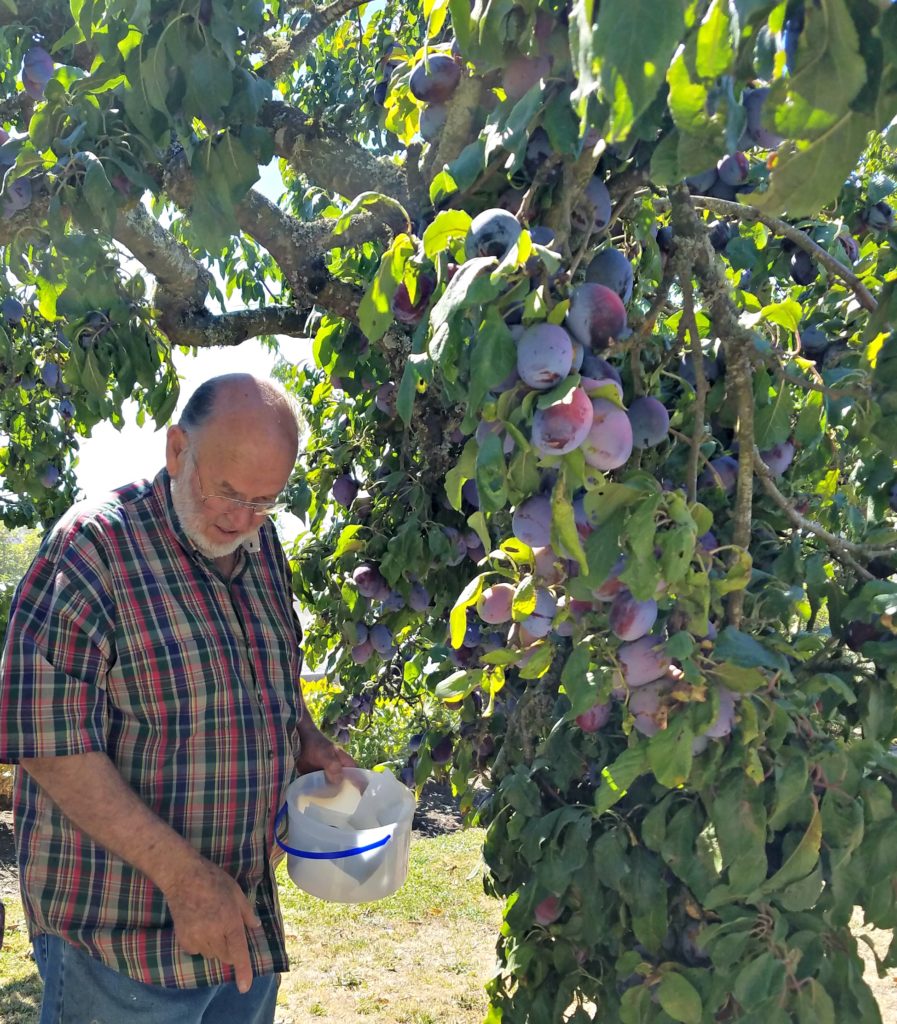 Oregon Garden | Meemaw Eats