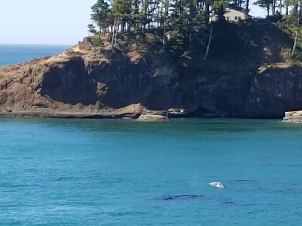 Depoe Bay and Whales | Meemaw Eats