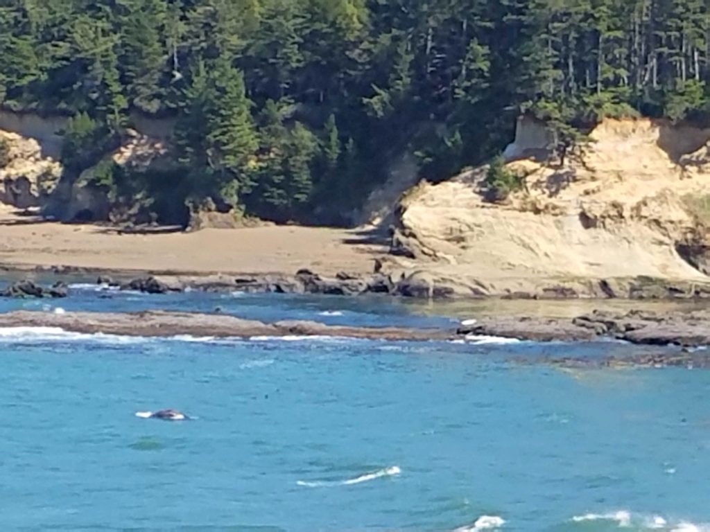 Depoe Bay and Whales | Meemaw Eats