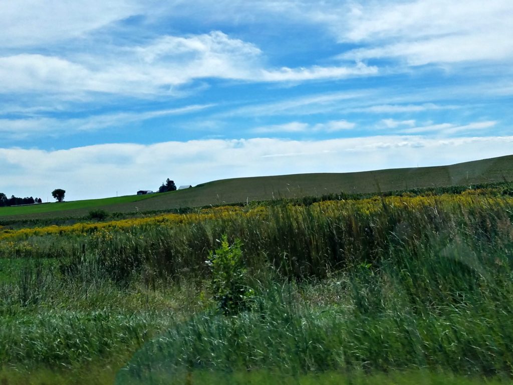 Road Trip | Meemaw Eats