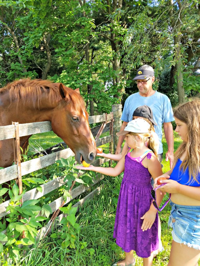 Meemaw's Farm | Meemaw Eats