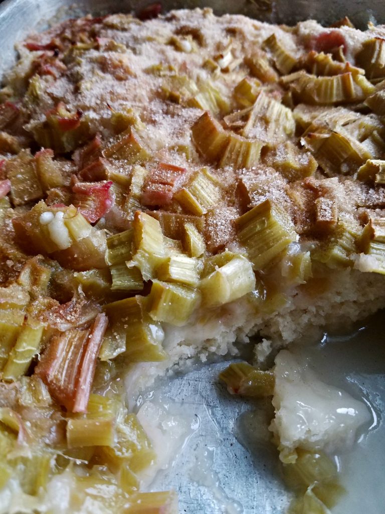 Rhubarb Cobbler | Meemaw Eats