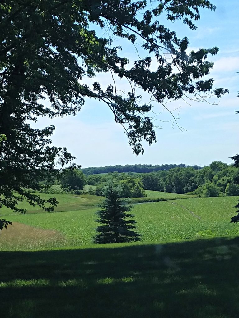 Sisters Garden | Meemaw Eats