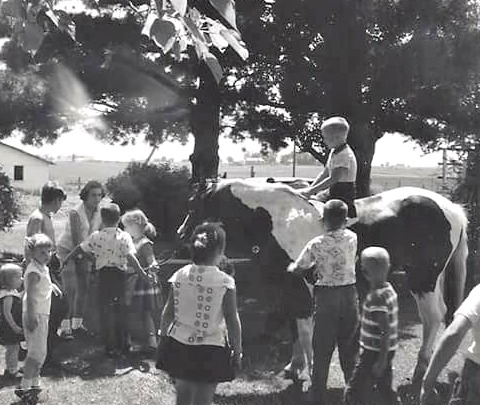 Back To My Childhood Farm | Meemaw Eats