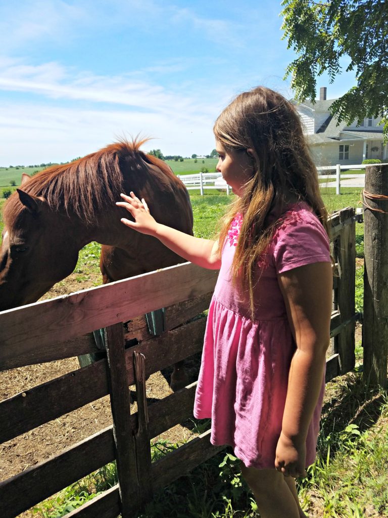 Back To My Childhood Farm | Meemaw Eats