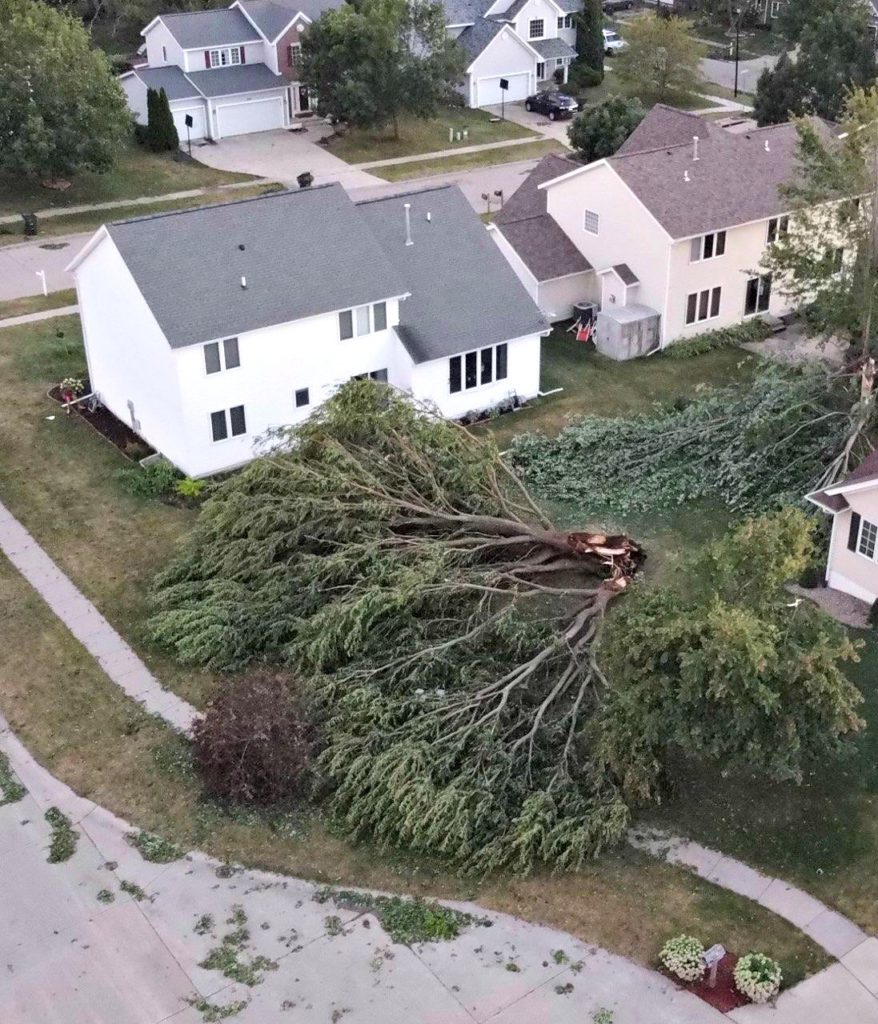 Derecho damage